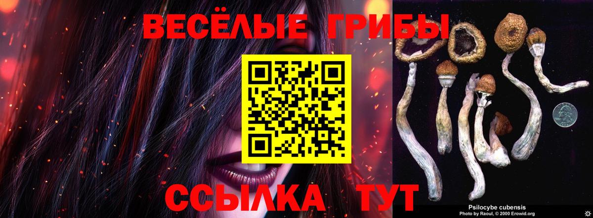 Псилоцибиновые грибы Cubensis Азнакаево