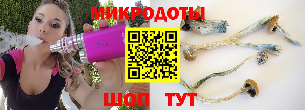 Псилоцибиновые грибы мицелий  Вход с VPN  Азнакаево 
